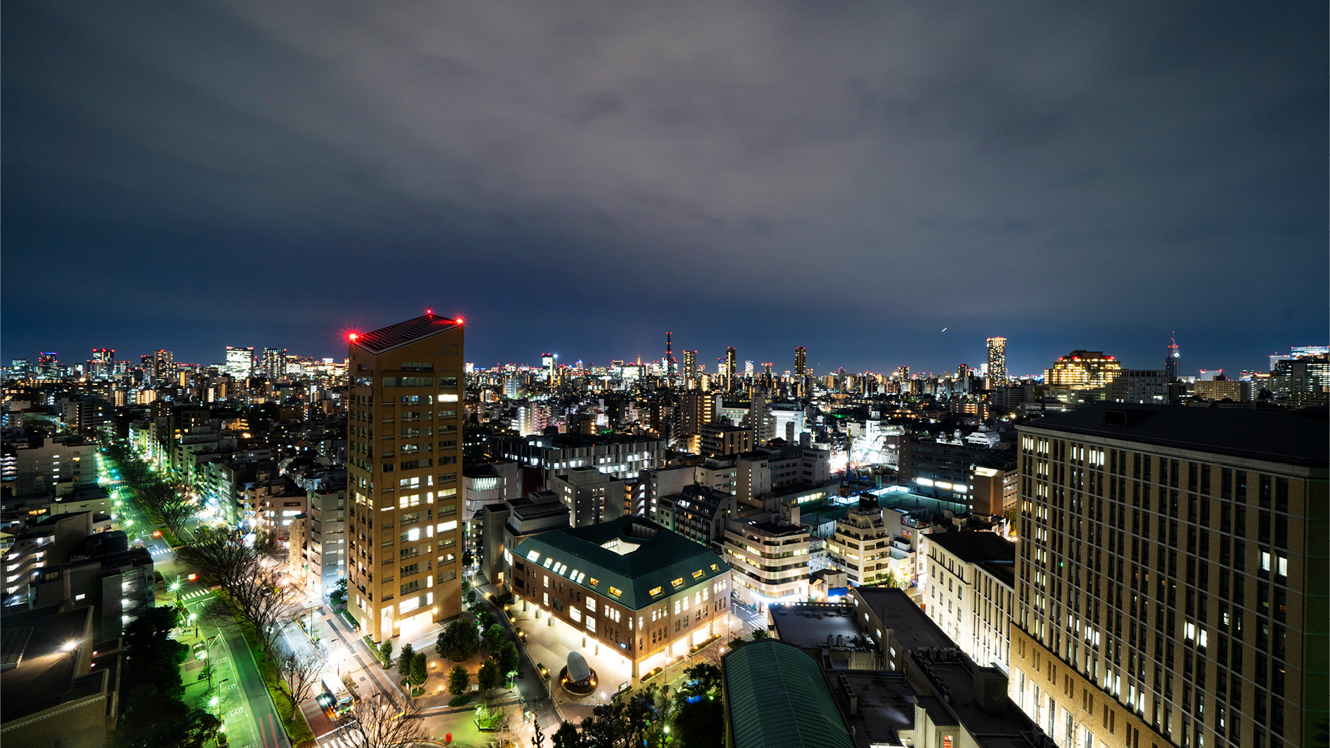 Waseda Night View